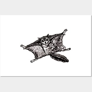 Flying Squirrel linocut Posters and Art